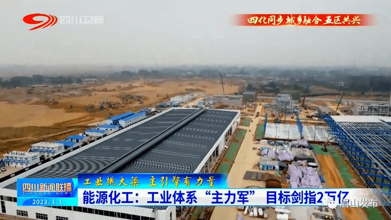 广东有机化工原料市场格局与区域竞争观察